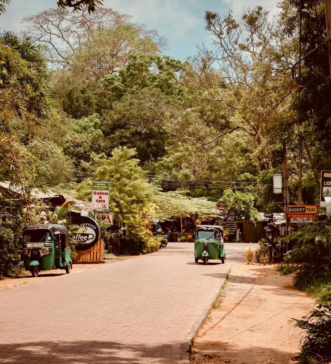 Sigiri Rainbow Lodge Sigiriya Exterior foto